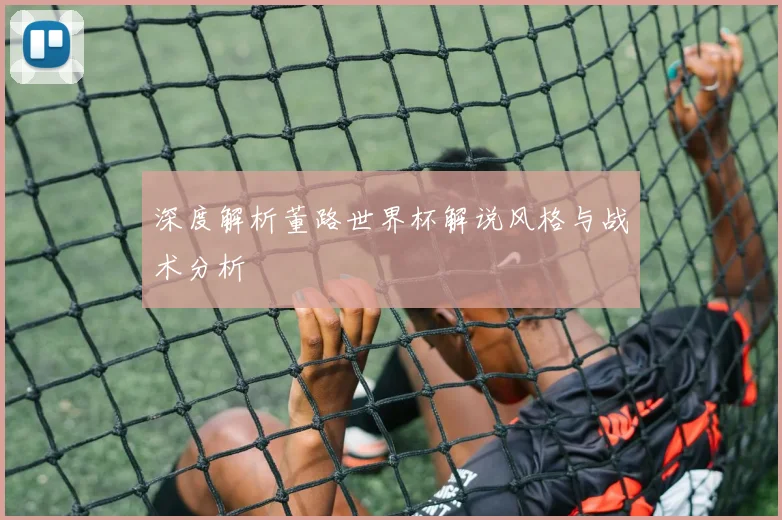 深度解析董路世界杯解说风格与战术分析